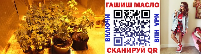 Купить где  Чекалин  ТГК THC oil 