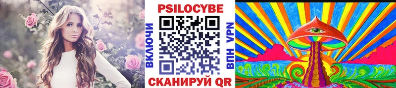 Купить Чекалин Псилоцибиновые грибы Psilocybine cubensis