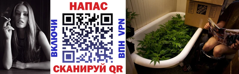 МАРИХУАНА Ganja  Купить закладки  Чекалин 